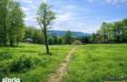 3.000mp de incantare montana cu cabana din lemn masiv, Zarnesti Tohani - 11