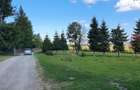 Oportunitare | Teren 1350 mp cu PUZ | Belis - 10