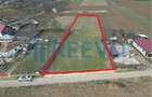 Teren de vanzare, Sat Bazga, Com. Horge?ti, Bacau - 11