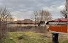 Teren Construcții intravilan de 376 mp, în Brestei - 3