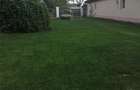 Particular- Casa de vanzare -1365 st, Cosereni, jud. Ialomita - 7