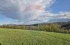 Teren Construcții de 11600 mp, în Poiana Mărului - 12