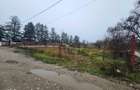 Inchiriez teren intravilan Sacuieni, DN 72 - 1