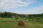 Vand teren intravilan 7410 mp in Sasca Mare, Suceava - 7
