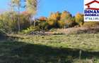 3600 mp teren intravilan, sat Bistrita, 12 Euro mp - 1