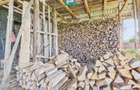Casă solidă cu 5 camere in localitatea Almaș, Arad - 23