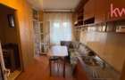 Apartament 3 camere, spatios, ideal familii - 10