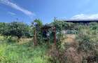 Casă individuală cu 3 camere cu Teren 2000 Mp în Sinești - 7