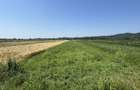 Teren intravilan+extravilan 2540Mp de vanzare zona Mihaesti