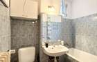 Apartament in Fizicienilor - Camil Ressu - 13