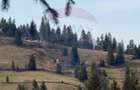 Teren de vanzare in inima Apusenilor 6.500 mp Arieseni - 14