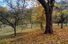 Vanzare teren intravilan - 4