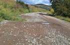 Teren agricol extravilan de 700 mp, în Gușterița - 4