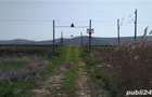 vand 5800 mp teren sat Livada com iclod jud cluj - 3