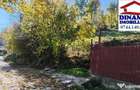 3600 mp teren intravilan, sat Bistrita, 12 Euro/mp - 1
