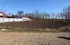 teren 1000 mp miclauseni iasi deschidere 30 ml 5 euro mp loc de casa - 8