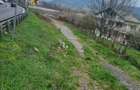 Teren de 5800 mp, în Gura Văii - 2