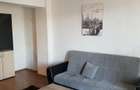 Apartament cu 2 camere decomandat în Nufărul - 5