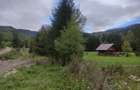 Teren intravilan 9.172 m2 + cabana 30m2 Loc Pintic Paltinu Com. Grinties - 4