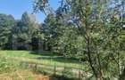 Casă cu 4 camere cu Teren 1800 Mp în Bran - 4