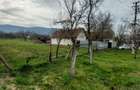 Casa cu gradina Galsa - 3