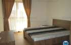 Apartament cu 2 camere semidecomandat în Ultracentral - 5