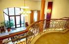 Hotel/Pensiune, de 120.66699981690 mp, în Noua - 4