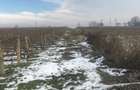 De vanzare teren Odobesti, Vrancea - 7