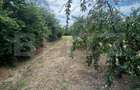 Teren intravilan, 6796 mp, zona Crangurile de Jos - 7