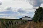 Vand Vie plus constructie / depozit