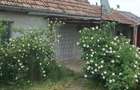 Casa de vanzare batraneasca - 5