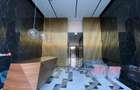 Apartament cu 2 camere semidecomandat în Herăstrău - 26