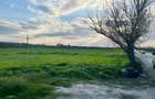 Teren 1.1 Ha Intravilan Sarca Ia?i la E85 E583 DN28 PUZ Aprobat - 8