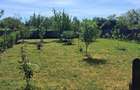 Casă cu Teren 850 Mp în Popești - 1