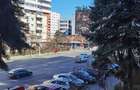 Vand apartament 3 camere in proximitatea USAMV si Platinia - 10