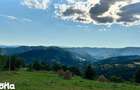 Teren Comuna Horea 17278m2. Apuseni - 5