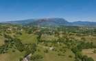 Teren intravilan de 11000 mp, în Bran - 12