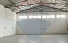 Hala industriala-Inchiriere-Ideala pentru productie si depozitare - 2
