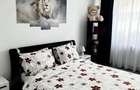 Apartament 2 camere, mobilat, Polux, Sector 6, Direct Propietar - 8