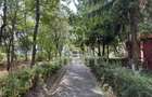 Apartament cu 3 camere decomandat în Zorilor - 9