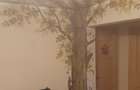 Apartament cu 3 camere decomandat în Ampoi 3 - 6