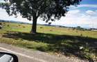 Teren extravilan 7500 mp Flore?ti | Acces DN | 18 m deschidere | Zona Paralela 45 - 1