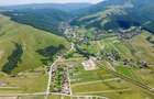 Teren Construcții intravilan de 6000 mp, în Dobârlău - 3