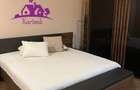 Apartament ultracentral de vanzare sau inchiriere - 9