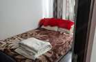 Apartamente cu 2 camere - 5