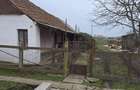 Vand casa veche la ?ara,cu teren aferent,la 5km de sta?iunea balneara Ta?nad! - 2