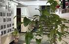 Vand apartament 2 camere parter Oltenita - 5
