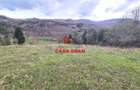Teren extravilan Valea Doftanei 20.500 mp 6e mp - 7