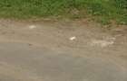 Teren intravilan de 760 mp, în Sălaj - 5