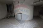 Inchiriere Spa?iu comercial/birouri-B-dul Nicolae Balces... - 16